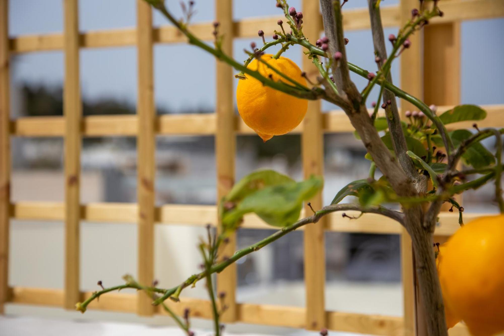 Thalia By Heloni Apartments Athene Buitenkant foto